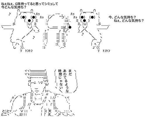 ブリッツ脚使用特３超高級耳栓装備３種類