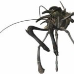 弓鬼デビュー！最初の相手は・・・